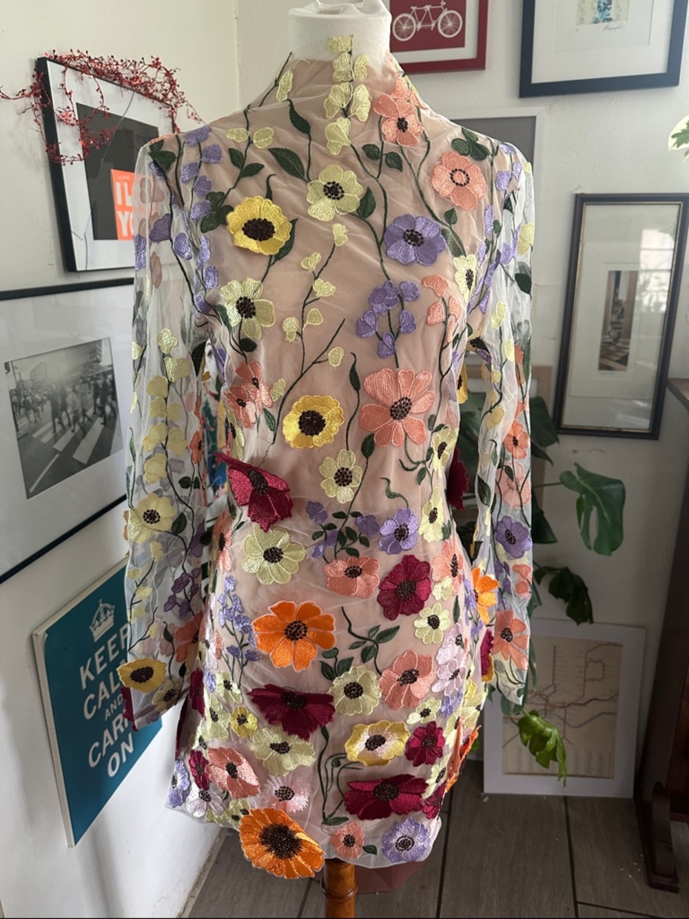 Floral Embroidered Sheer Long Sleeved  Mini Dress - Multicolor Medium